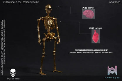 101TOYS – 1/12 PALM ELF SERIES SKELETON FRAME BOBY Limited Edition NO.ES025 NO.ES026 NO.ES027 (Licensed)