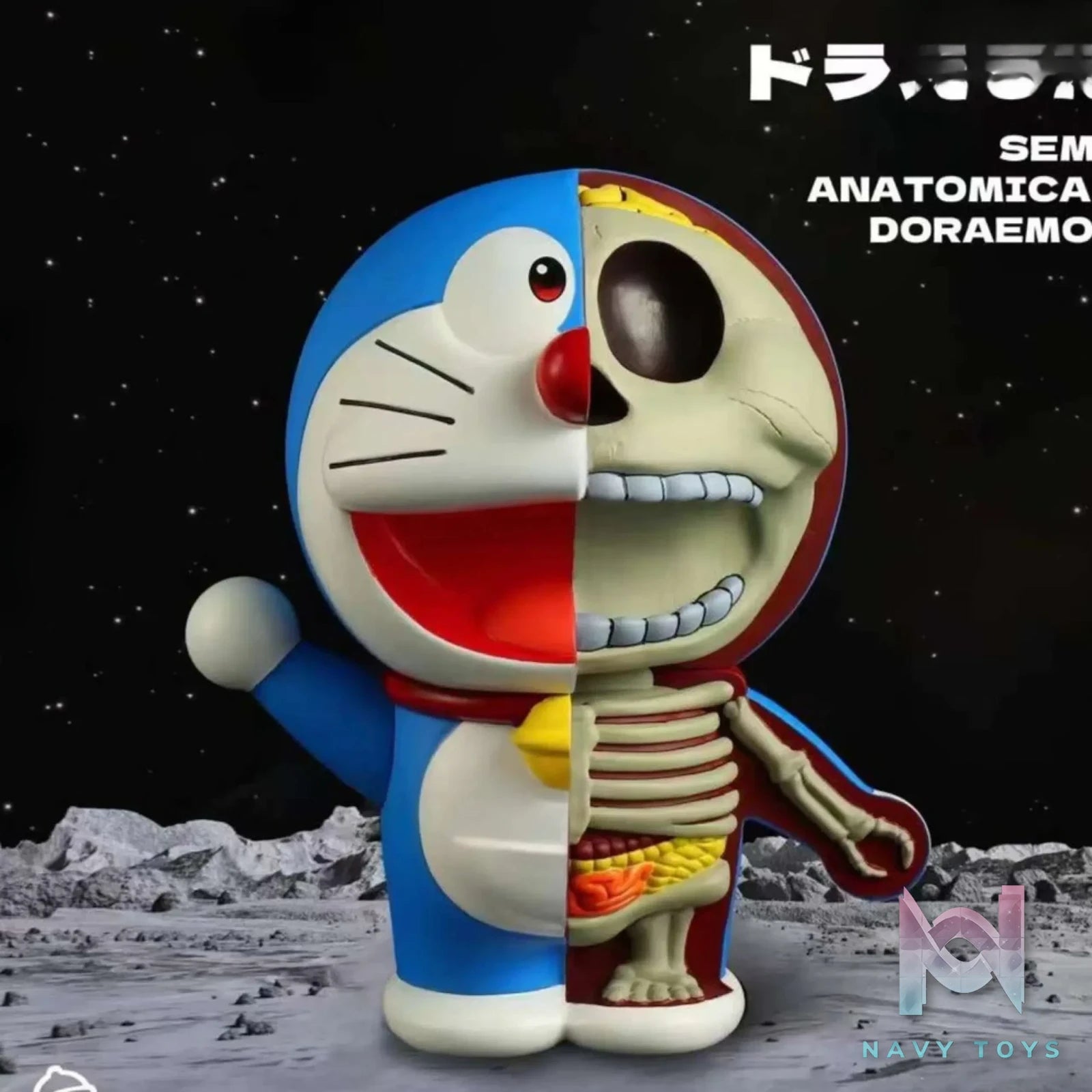 Dingdang Studio – Doraemon Anatomy Series- Doraemon