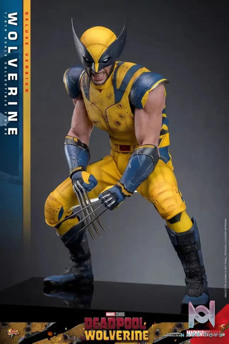 HOTTOYS Studio – Marvel Deadpool & Wolverine 1/6 Wolverine MMS753 Regular version & MMS754 Deluxe version (Licensed)