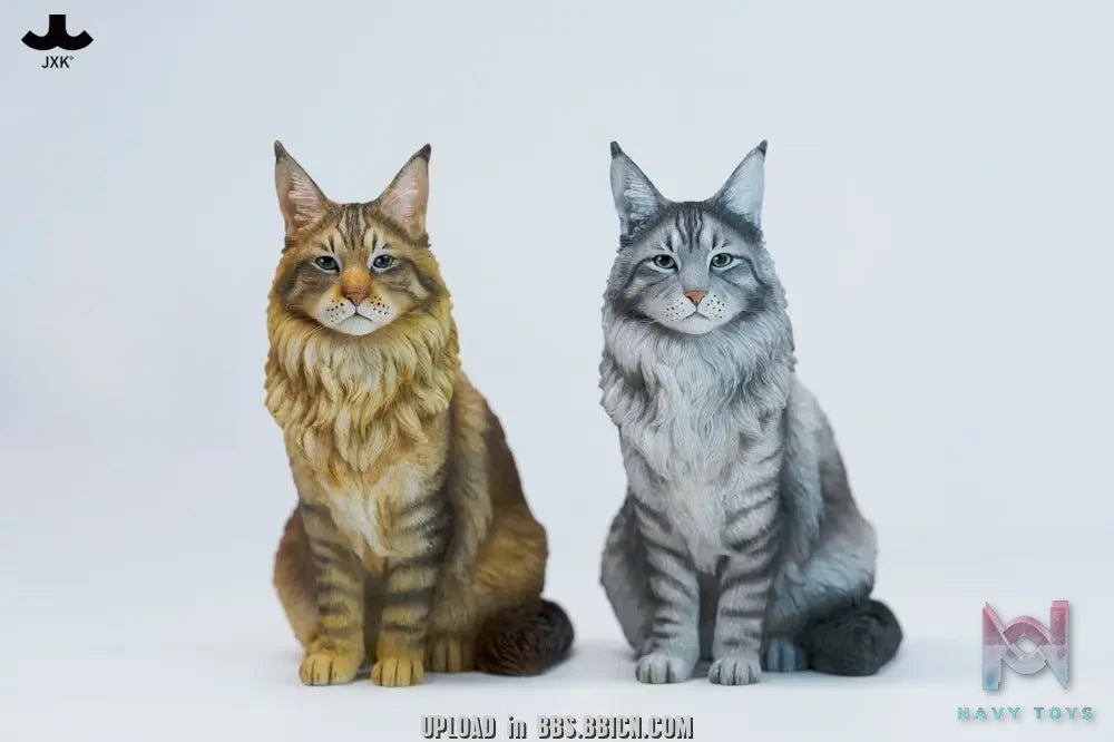 JXK – Sitting upright Maine Coon cat JXK364 (Licensed)