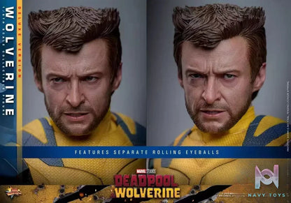 HOTTOYS Studio – Marvel Deadpool & Wolverine 1/6 Wolverine MMS753 Regular version & MMS754 Deluxe version (Licensed)
