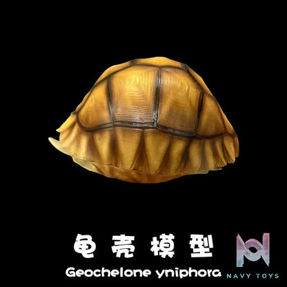Natural Science Book Studio – Realistic Tortoise Shell Series Vol. 1: Angonoka (Licensed)