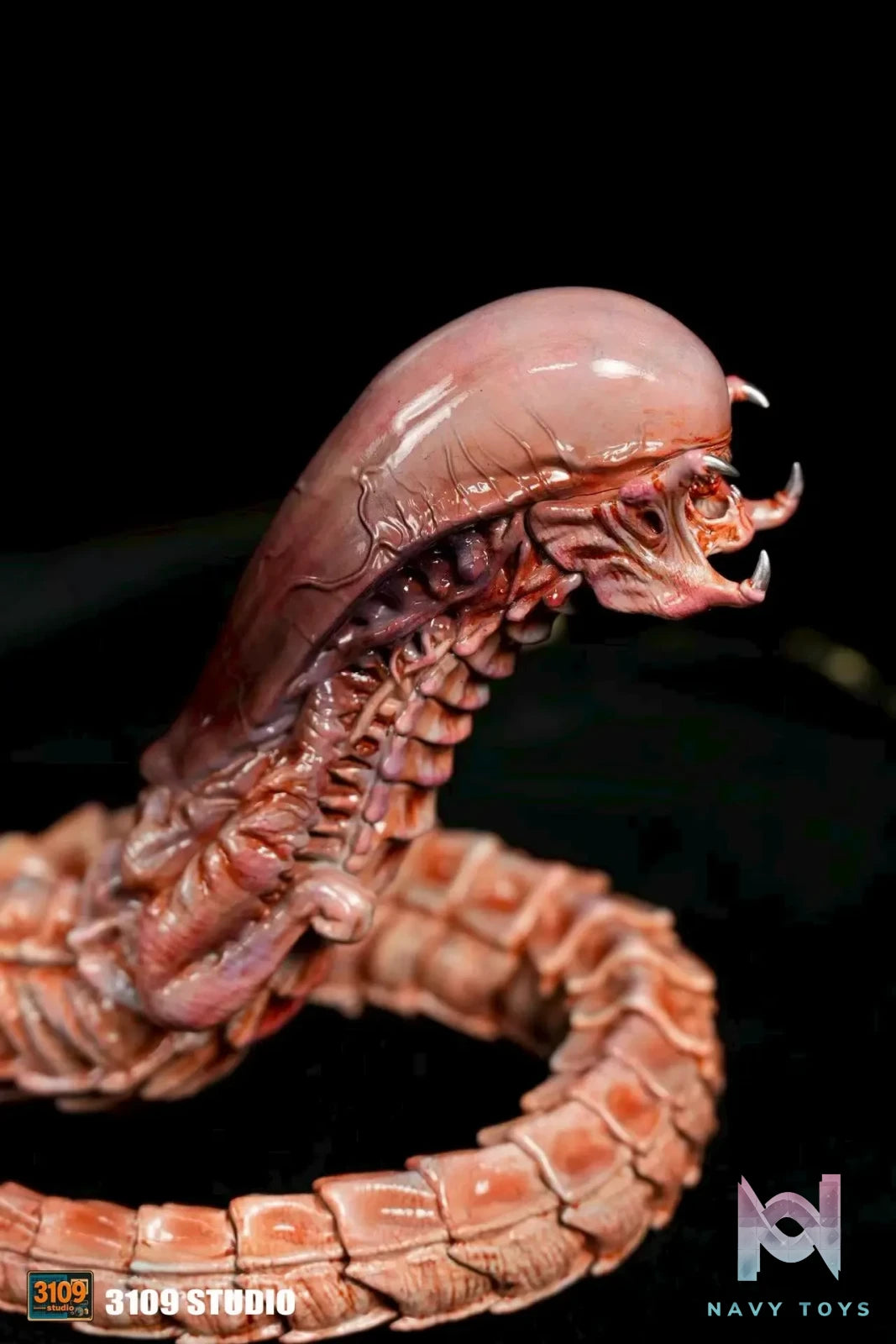 3109 Studio – Chestburster Alien vs. Predator