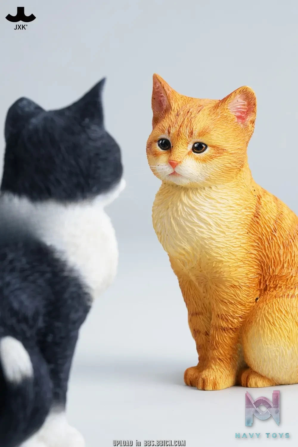 JXK – Well-behaved cat sitting JXK352 (Licensed)