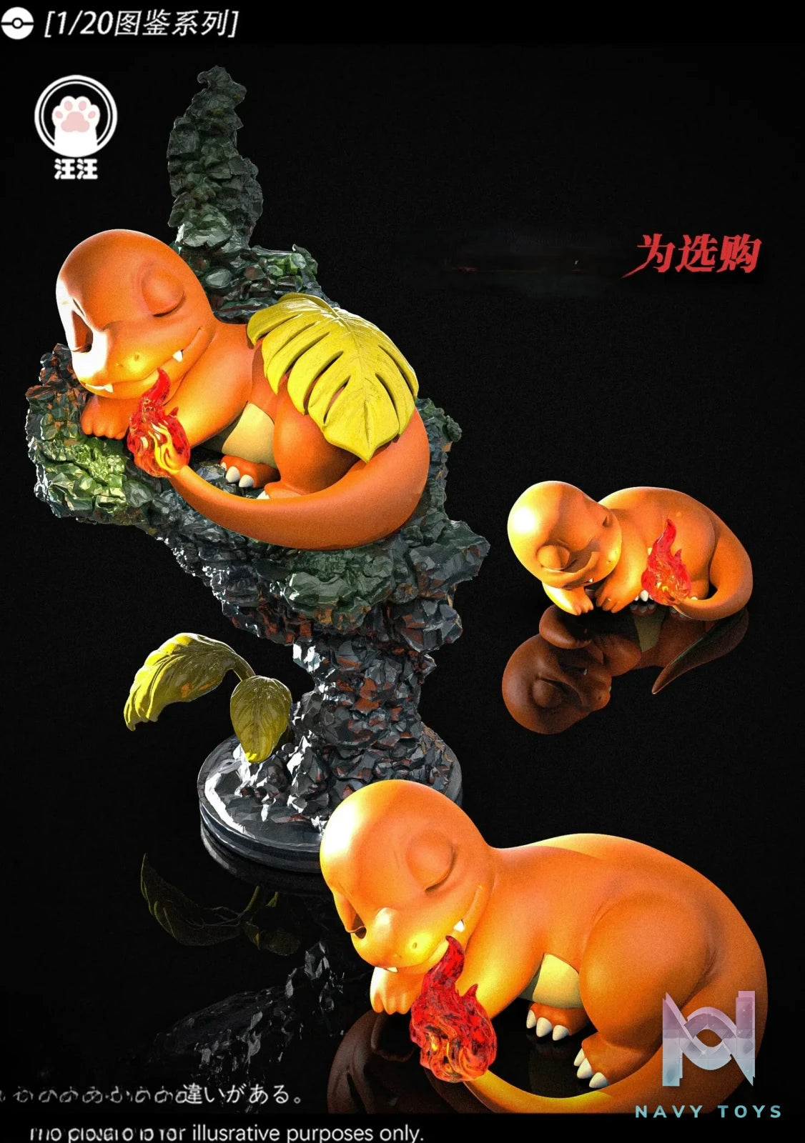 Wang Wang Studio – Charizard Evolution Set Pokémon