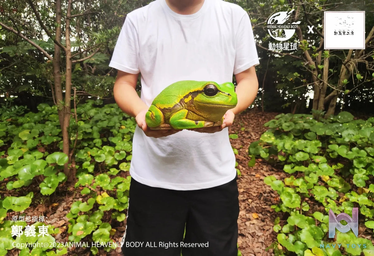 Animal Planet Studio – original Tree Frog Plus (Licensed)