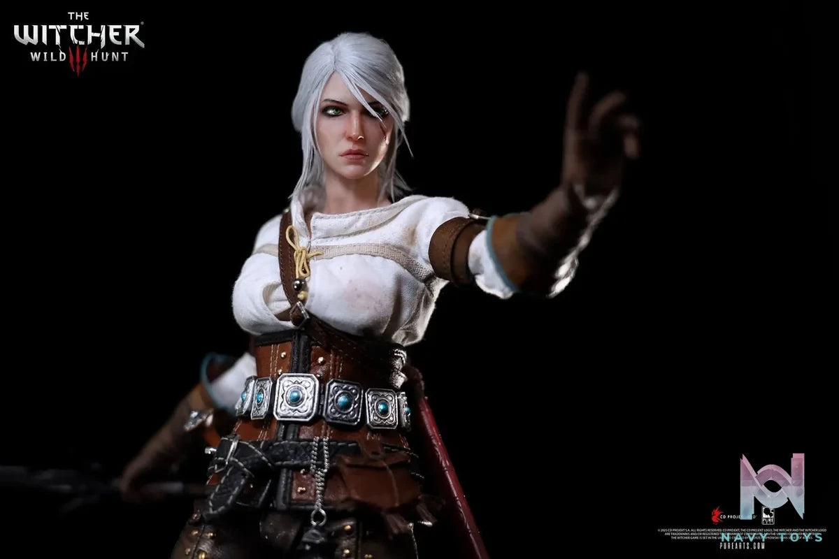 Ciri of the Cinta resin statue PureArts Studio anime figure