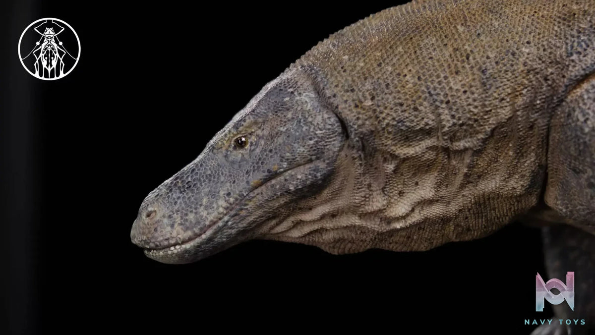 Aphid Studio – Komodo Dragon Model Series (Licensed)