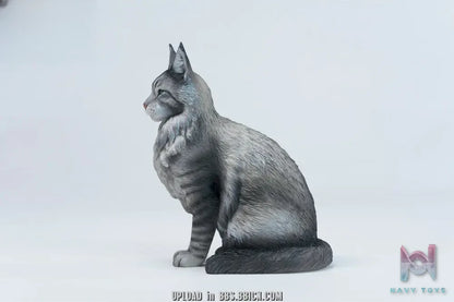 JXK – Sitting upright Maine Coon cat JXK364 (Licensed)