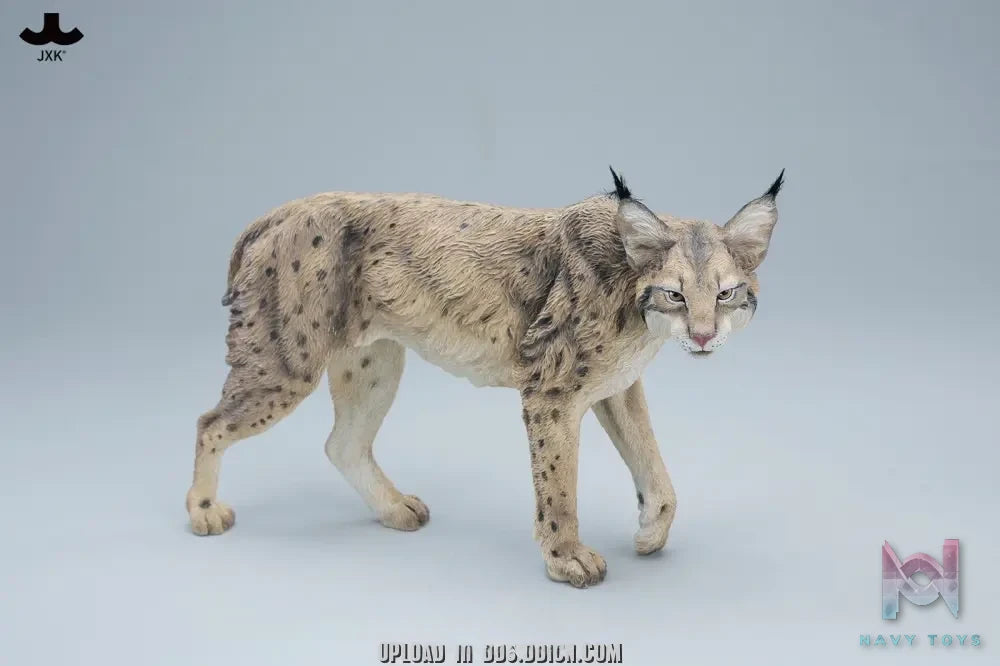 JXK – Lynx JXK361 (Licensed)