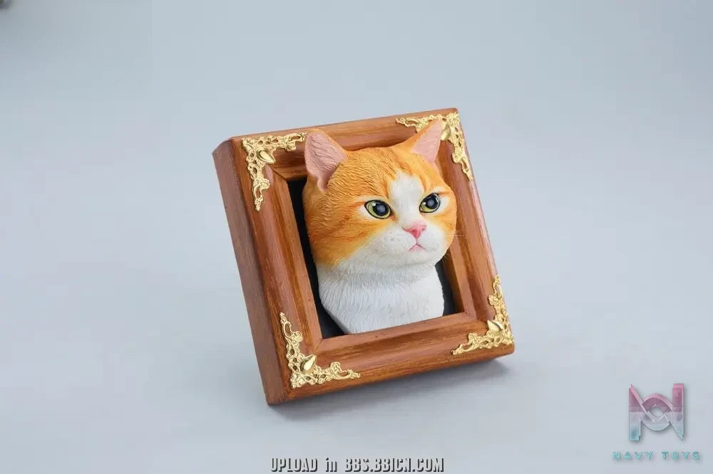 JXK – Gentle-eyed country cat JS2607 (Licensed)
