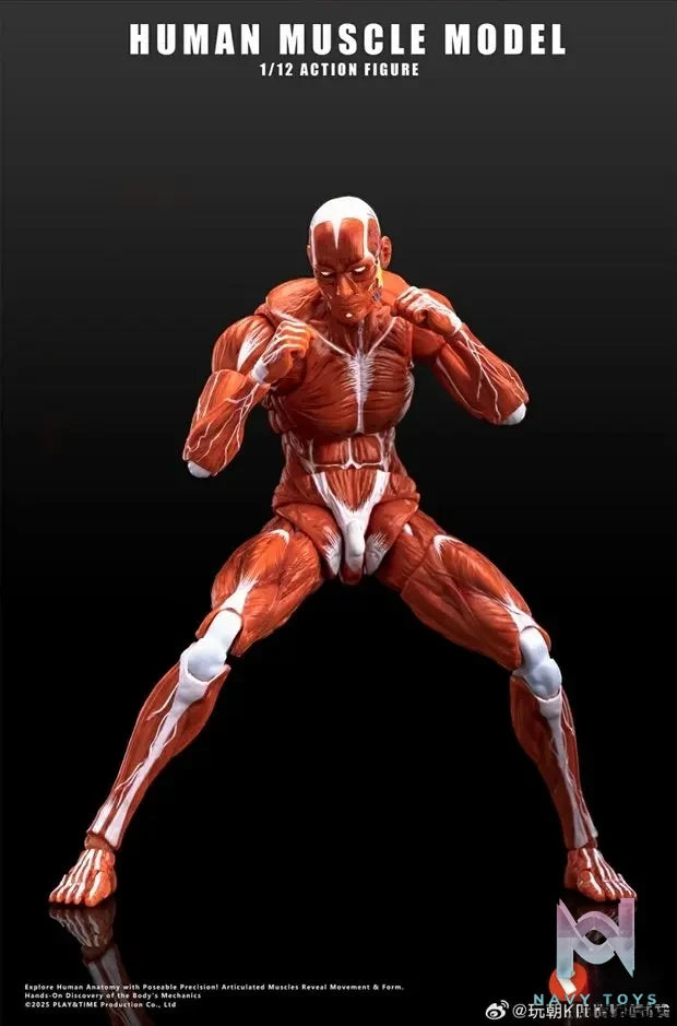 KEEPGOING – Human Muscle Model 1/12 Highly Articulated Figure (Licensed)