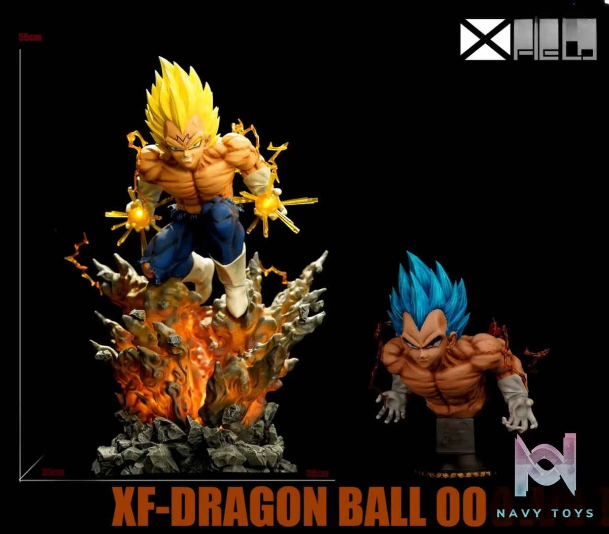 Xpic Field Studio – Dragon Ball Vegeta