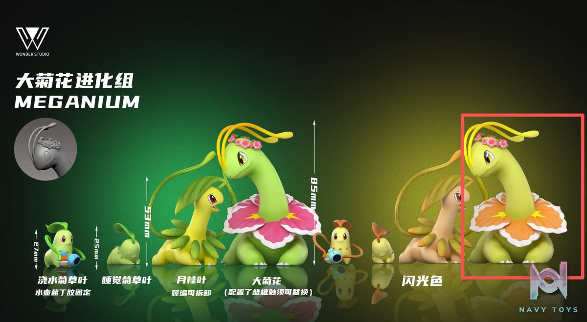 Wonder Studio – Meganium Evolution Set Pokémon