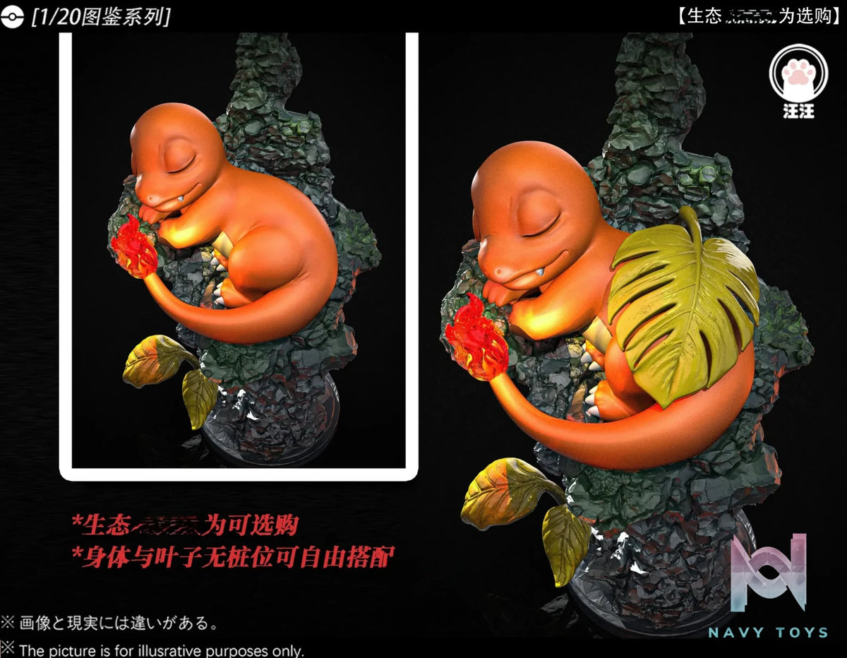 Wang Wang Studio – Charizard Evolution Set Pokémon