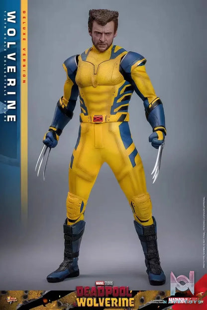 HOTTOYS Studio – Marvel Deadpool & Wolverine 1/6 Wolverine MMS753 Regular version & MMS754 Deluxe version (Licensed)