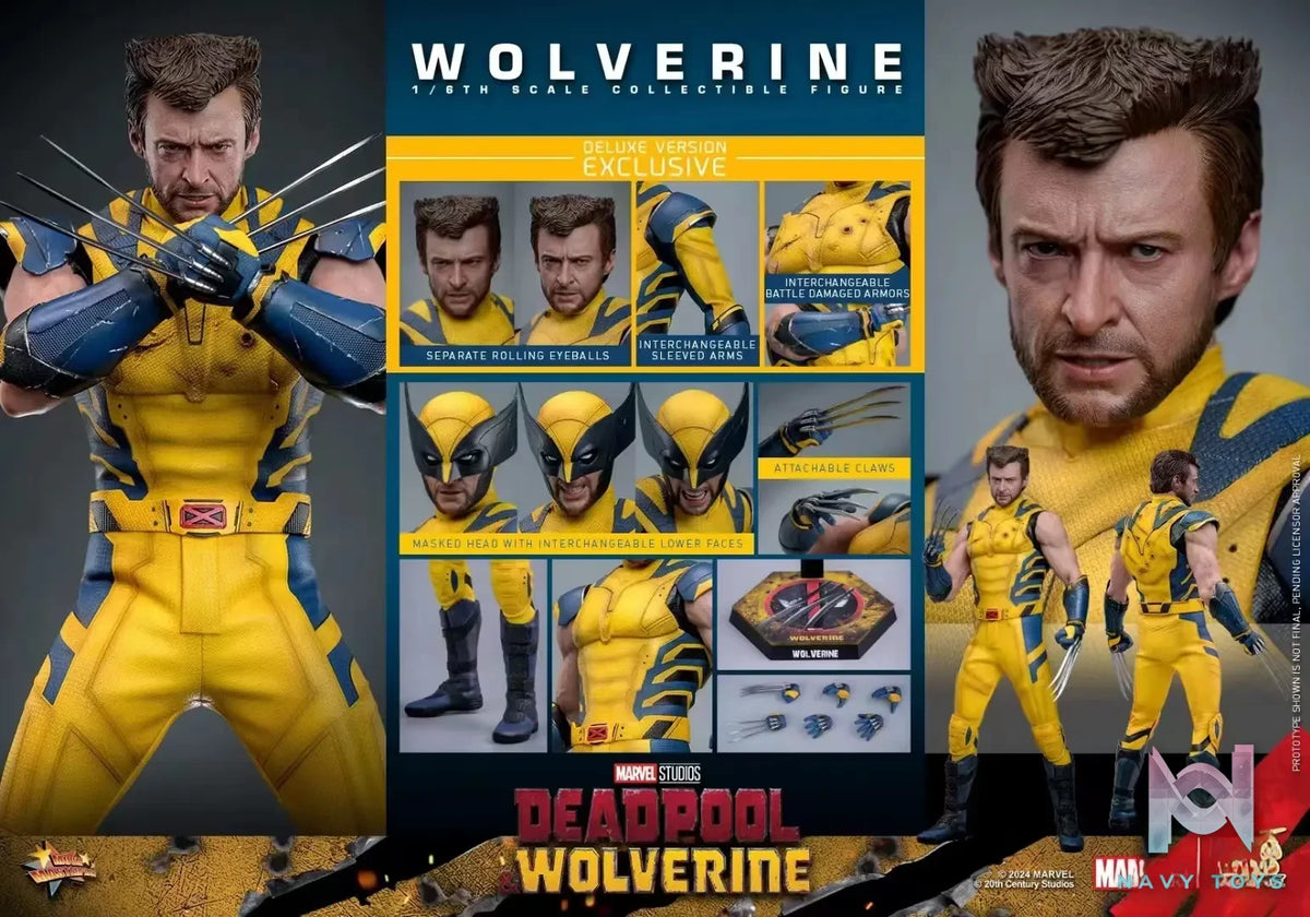 HOTTOYS Studio – Marvel Deadpool & Wolverine 1/6 Wolverine MMS753 Regular version & MMS754 Deluxe version (Licensed)