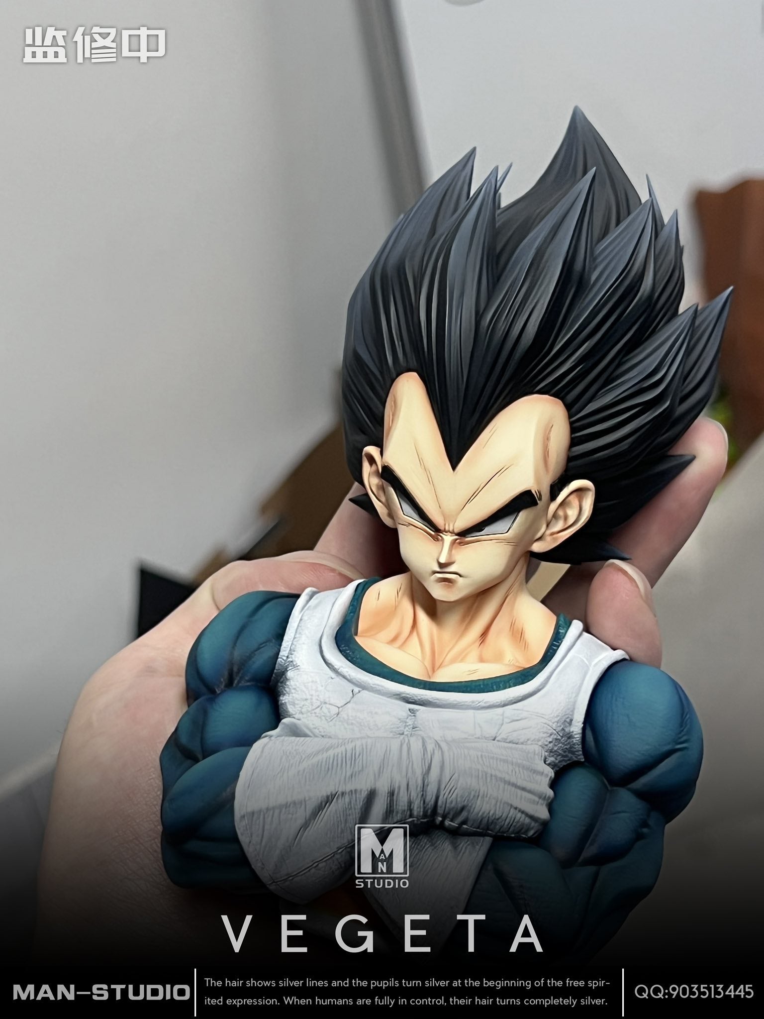Vegeta & Dende resin statue MAN Studio anime figure