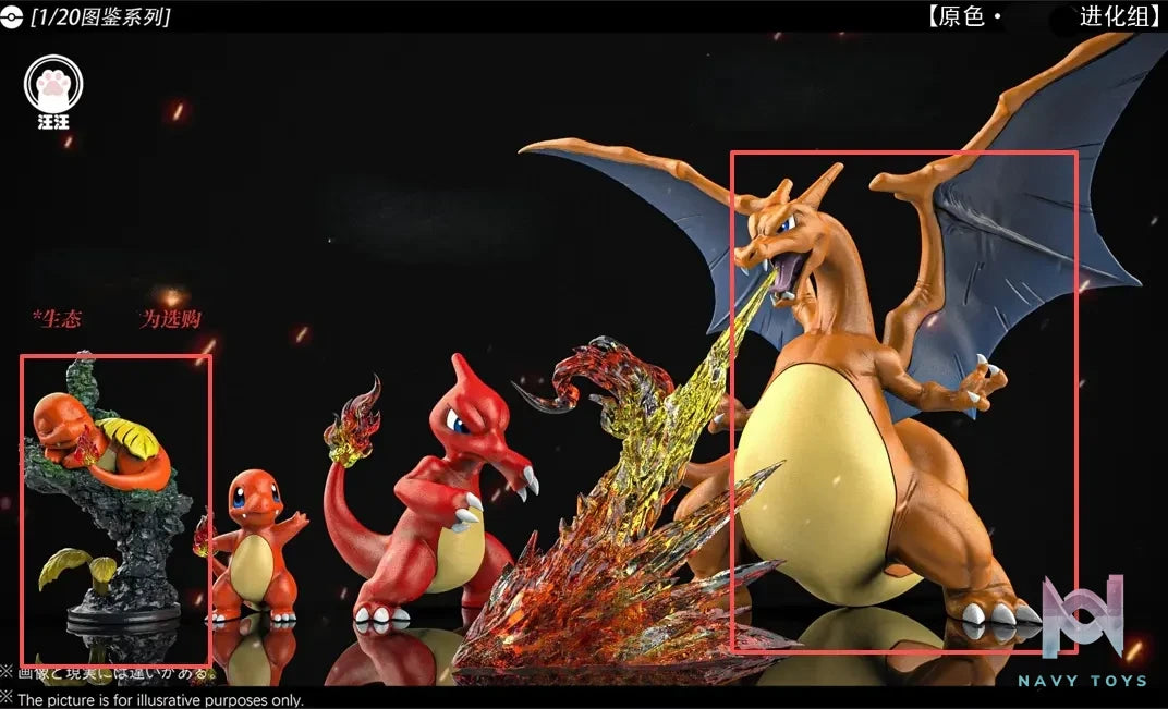 Wang Wang Studio – Charizard Evolution Set Pokémon