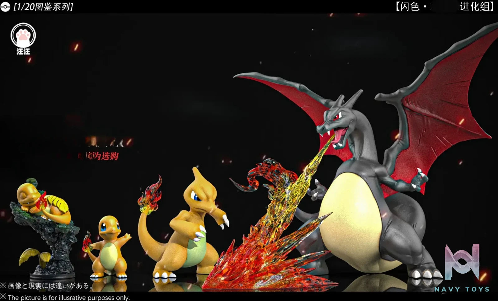 Wang Wang Studio – Charizard Evolution Set Pokémon