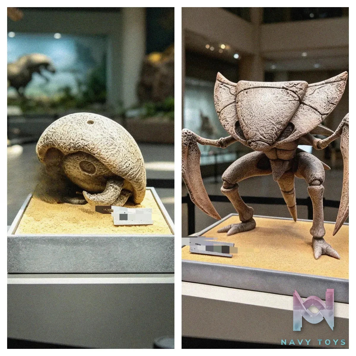 Miumiu Studio – Fossil Museum Series Kabutops X Kabuto Pokémon