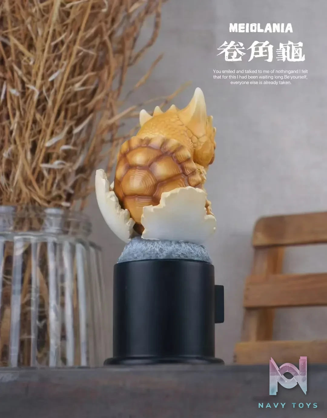 Natural Science Book Studio – Original 2024 Ancient Turtle (Licensed)