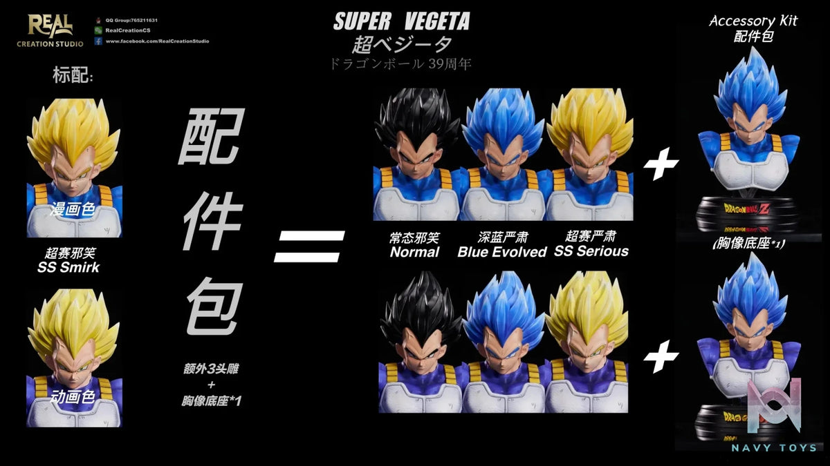 Real Creation Studio – Dragon Ball Super Vegeta