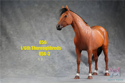 JXK – 1/6 Thoroughbred Model Realistic Horse Display Figure (Licensed)