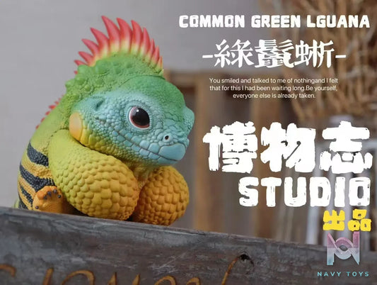 Natural Science Book Studio – Original 2024 Common Green Iguana (Licensed)