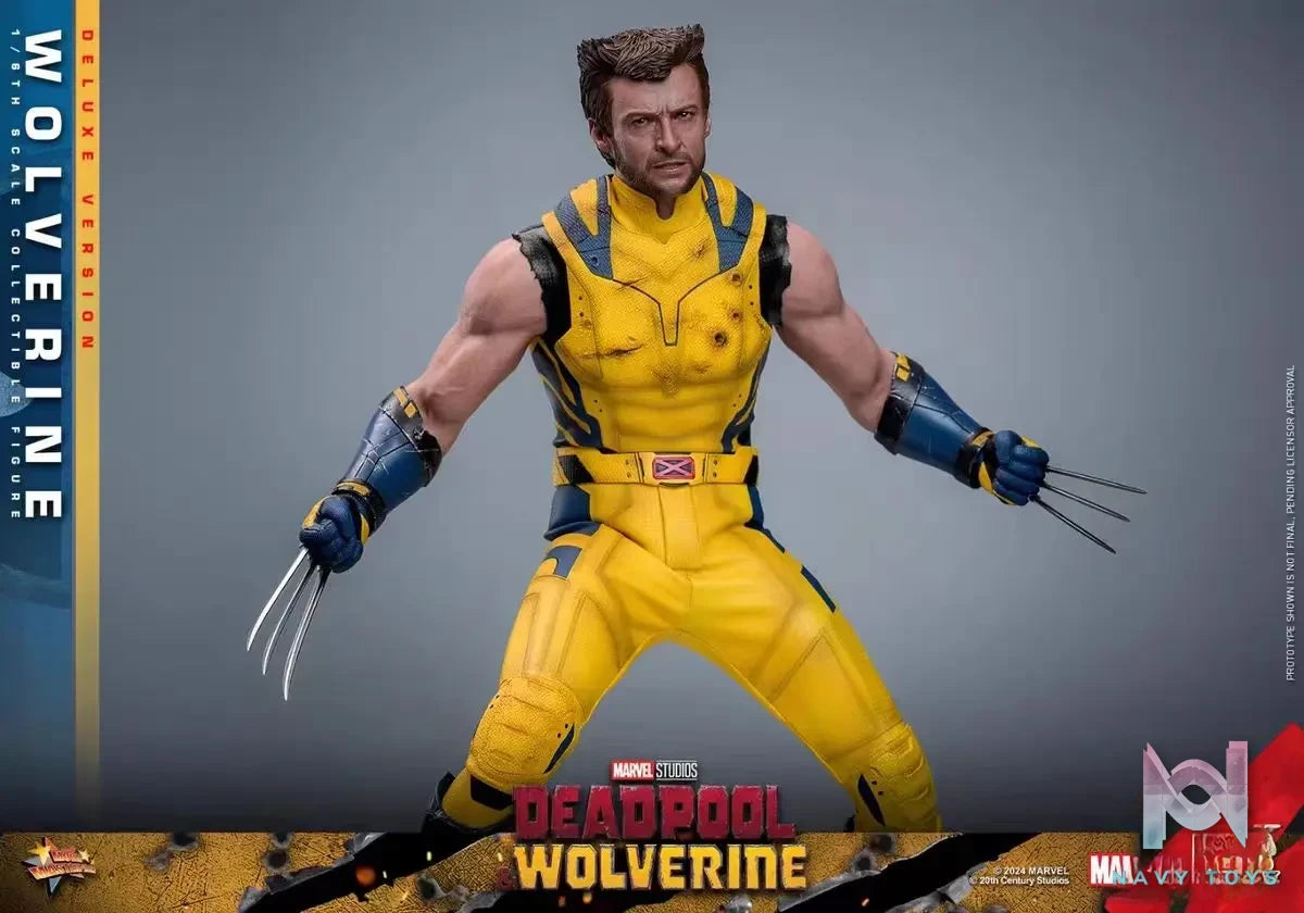 HOTTOYS Studio – Marvel Deadpool & Wolverine 1/6 Wolverine MMS753 Regular version & MMS754 Deluxe version (Licensed)