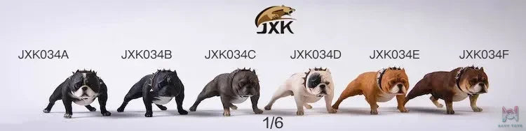 JXK – 1/6 Bully Dog JXK034B JXK034C JXK034D (Licensed)