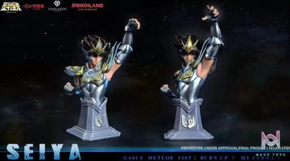 Zodiakos studio – Saint Seiya Pegasus God Cloth Seiya (Licensed)