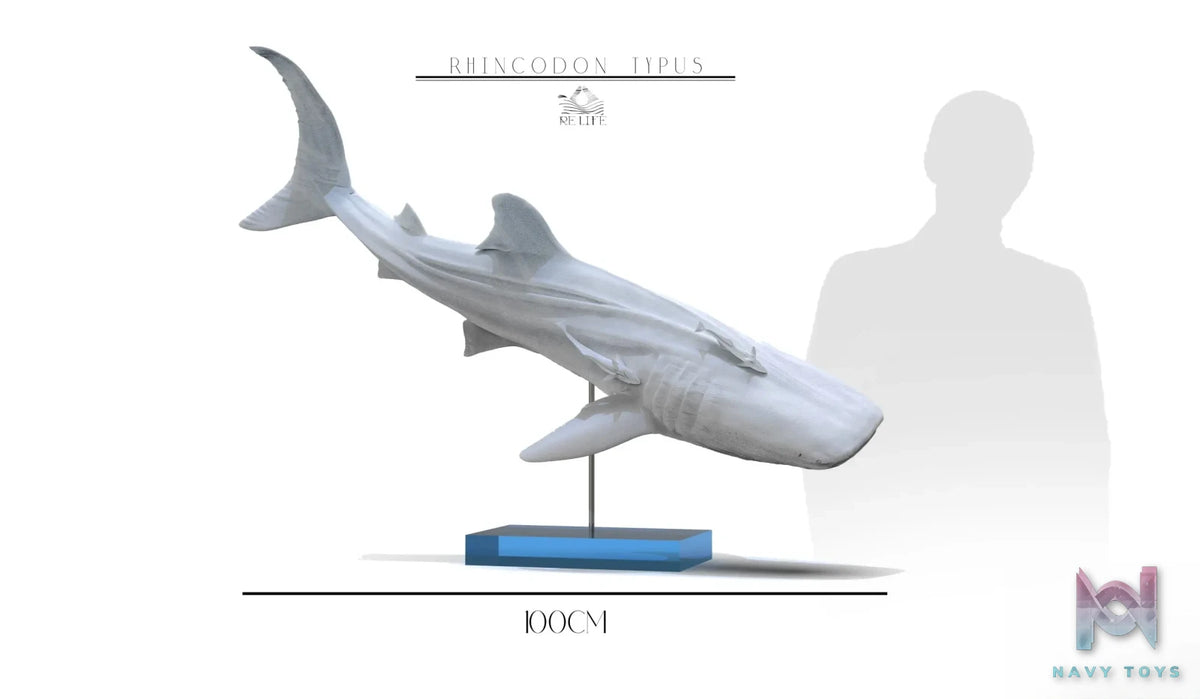 ReLife Studio – Original No series Blue Whale shark (Licensed)