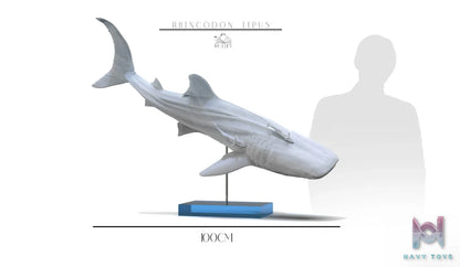 ReLife Studio – Original No series Blue Whale shark (Licensed)