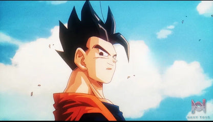 WDF Studio – Son Gohan Dragon Ball