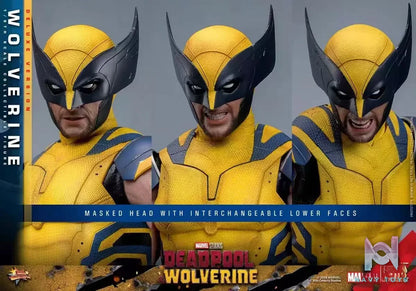 HOTTOYS Studio – Marvel Deadpool & Wolverine 1/6 Wolverine MMS753 Regular version & MMS754 Deluxe version (Licensed)