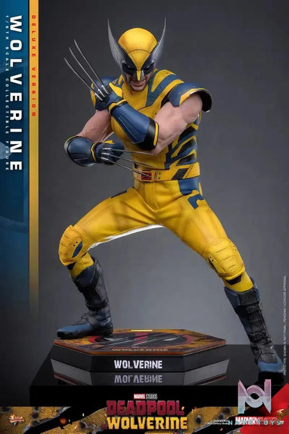 HOTTOYS Studio – Marvel Deadpool & Wolverine 1/6 Wolverine MMS753 Regular version & MMS754 Deluxe version (Licensed)