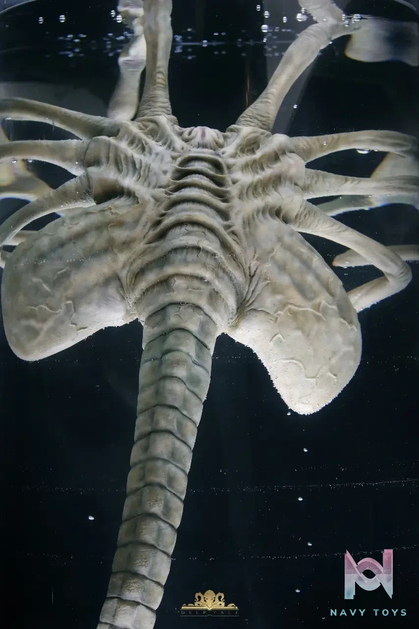 Deep Tale Studio – Alien Facehugger Stasis Chamber