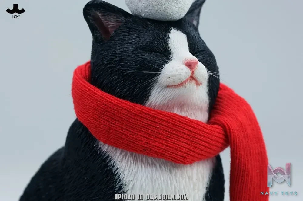 JXK – Warm cat in winter corner JXK349 (Licensed)