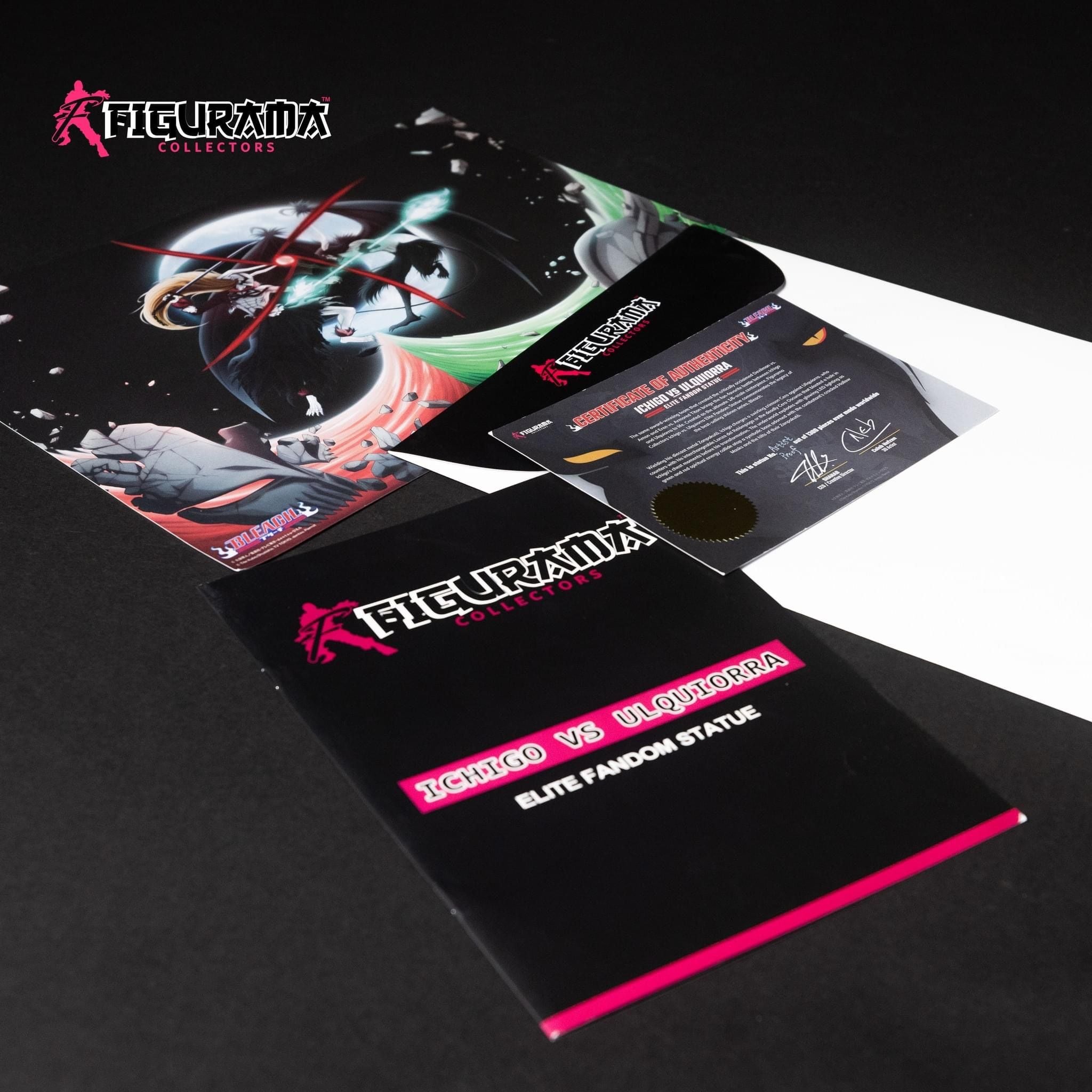 Ichigo & Ulquiorra - Bleach - Figurama Collectors resin statue Figurama Collectors Studio anime figure