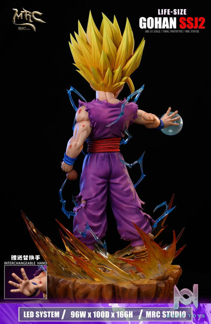 MRC Studio – Gohan 1/1 resin statue MRC Studio anime figure