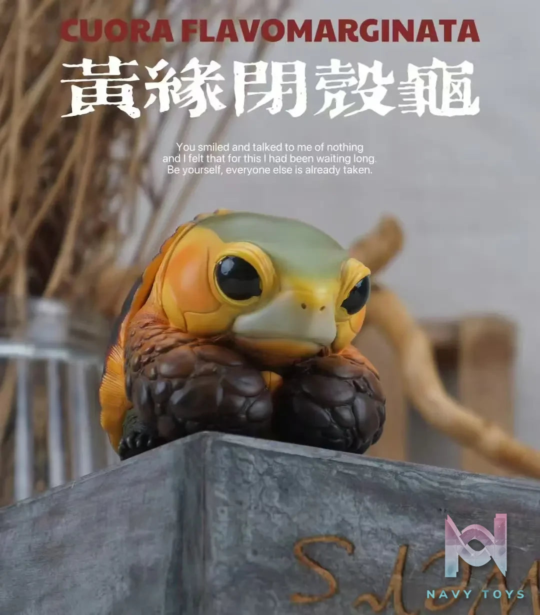 Natural Science Book Studio – CUORA FLAVOMARGINATA & GEOCHELONE SULCATA (Licensed)