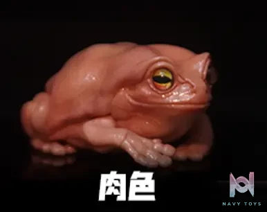 COR Studio – Tree Frog (Licensed)