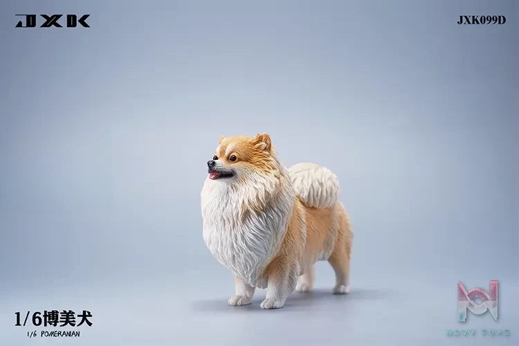 JXK – 1/6 Pomeranian JXK099 (Licensed)