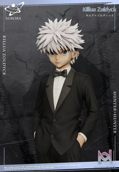 Aurora Studio – HUNTER×HUNTER Suit Series Suit ********​******