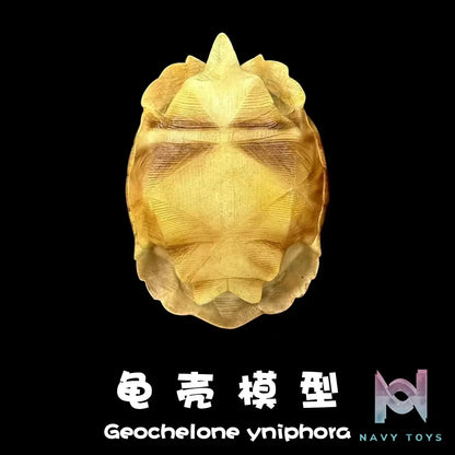 Natural Science Book Studio – Realistic Tortoise Shell Series Vol. 1: Angonoka (Licensed)