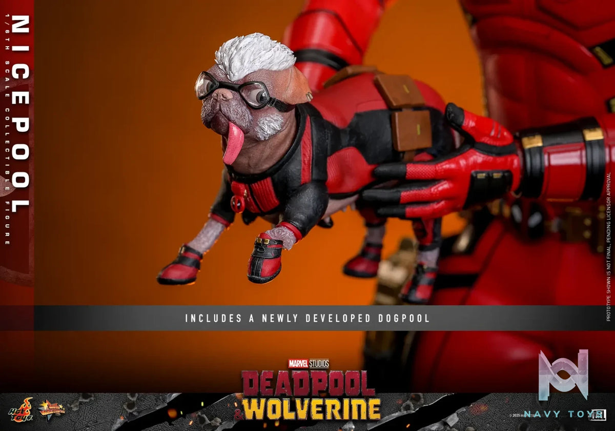 Hottoys – 1/6th scale Nicepool Collectible Figure MMS788 (Licensed)