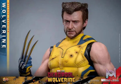 HOTTOYS Studio – Marvel Deadpool & Wolverine 1/6 Wolverine MMS753 Regular version & MMS754 Deluxe version (Licensed)