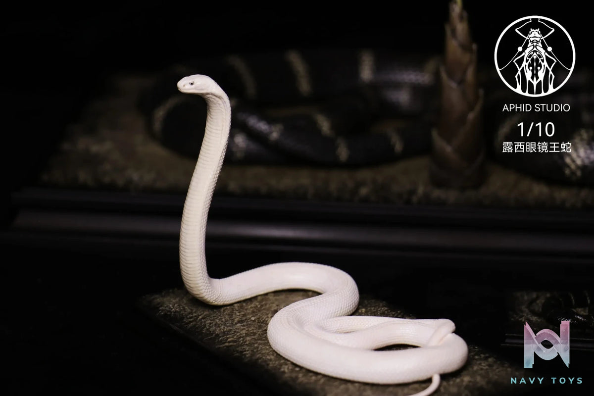 Aphid Studio – Northern King Cobra (Licensed)
