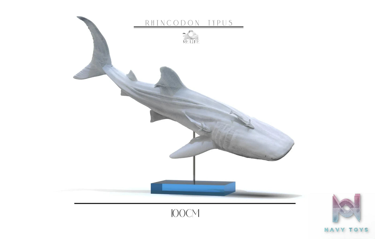 ReLife Studio – Original No series Blue Whale shark (Licensed)